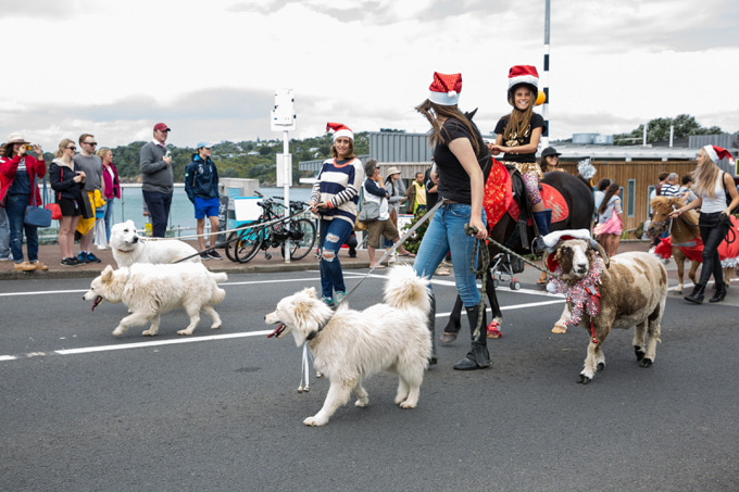 Waiheke parade (2)