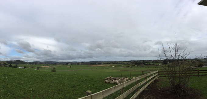 Auckland Council votes to get on with Drury South development