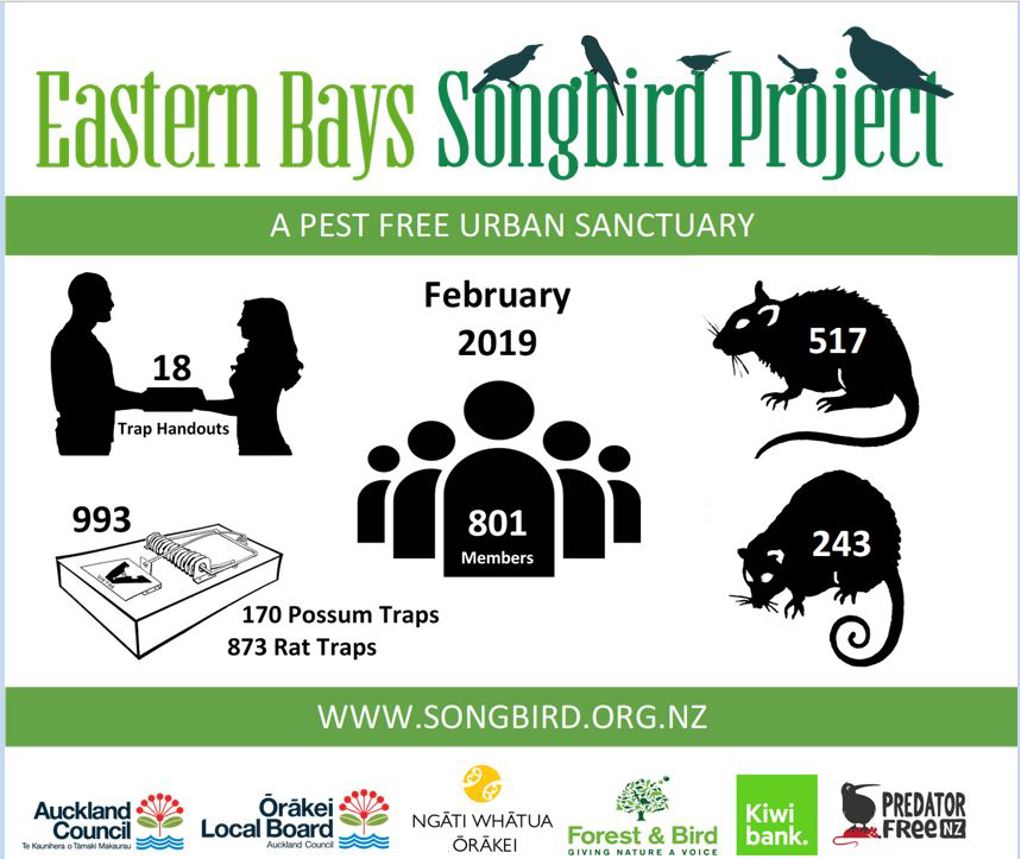The Eastern Songbird Project Graphic (1)
