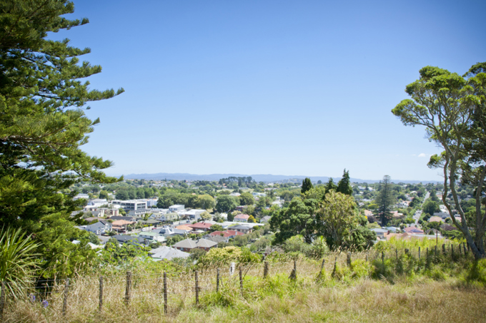 Walks in Auckland Mt Eden