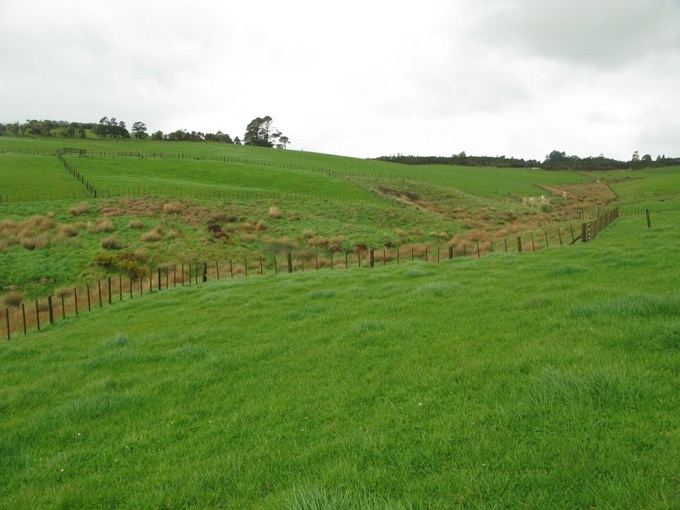 Cleaning up Aucklands waterways a metre at a time 01