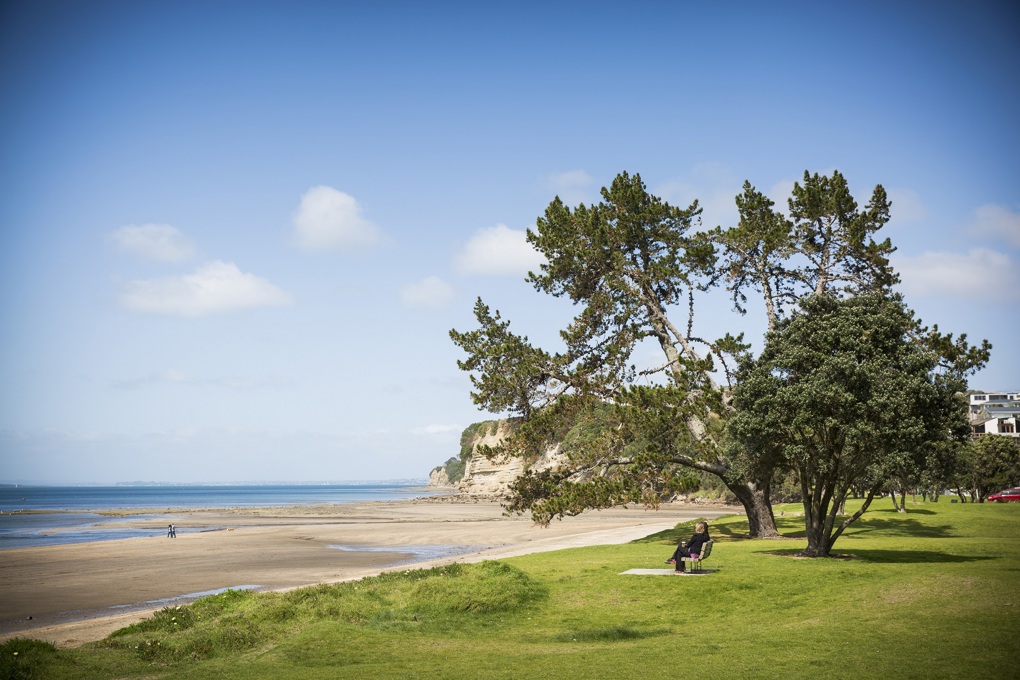 Temporary public health warning issued at Browns Bay (2)