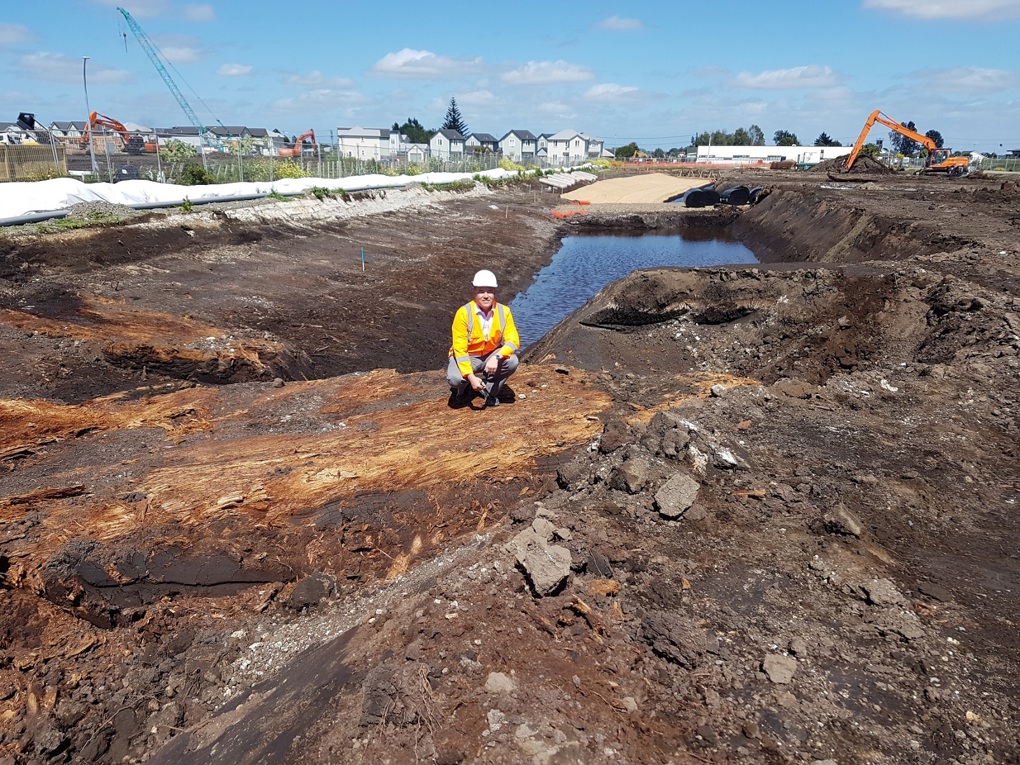 Stormwater works revitalising Takanini natural heritage