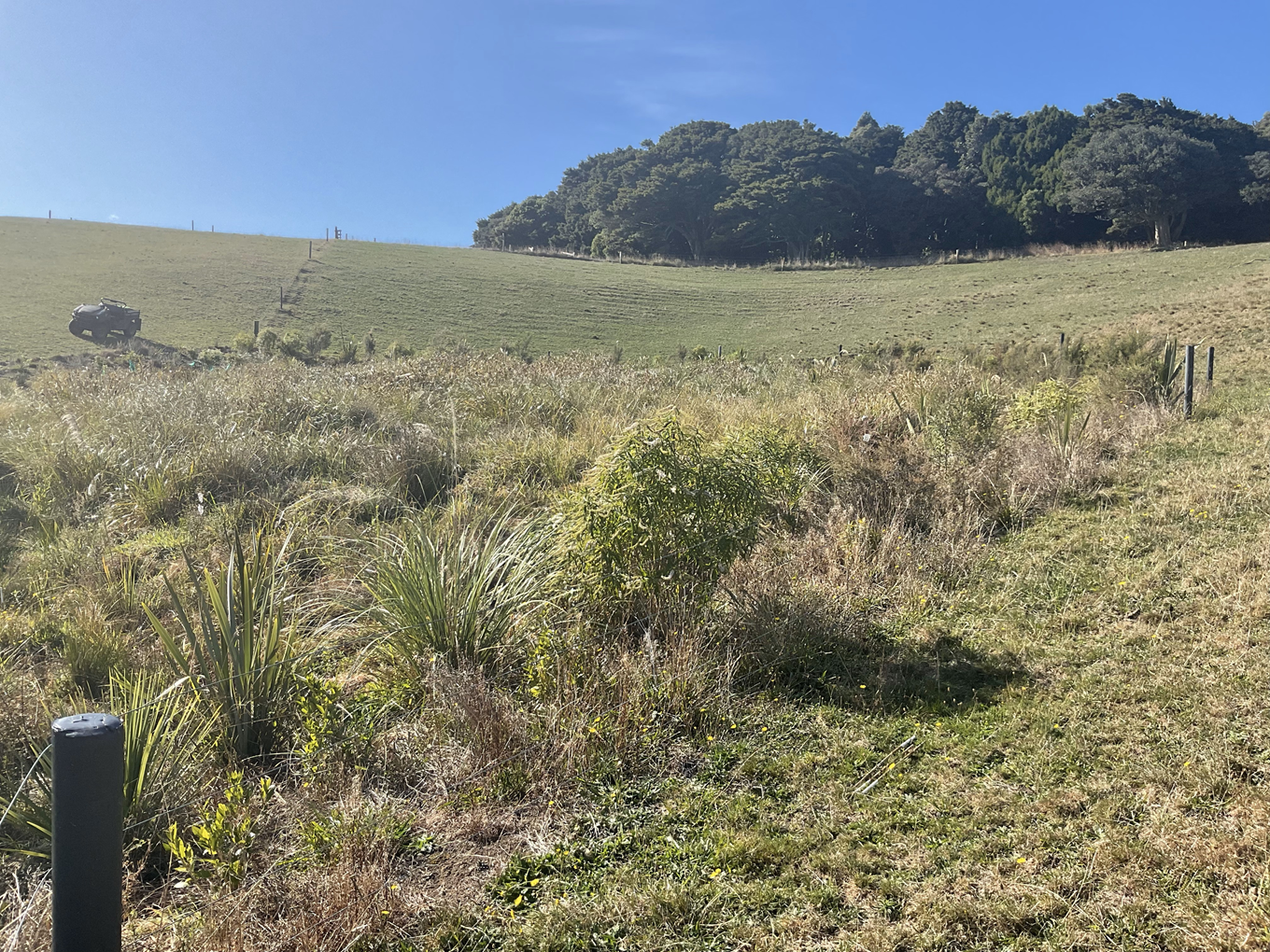 A grassy rural property. 