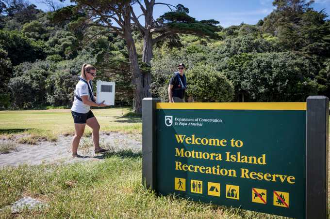 Eco warrior sailors assist with kiwi chick release (2)