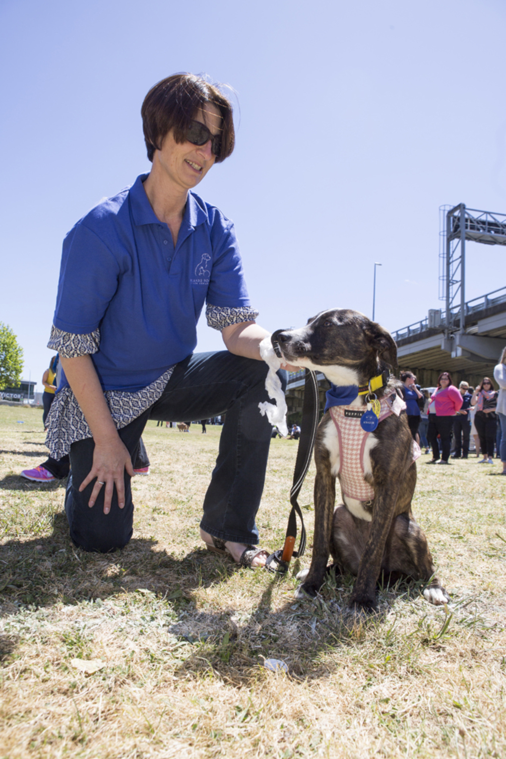 "Walkies" a resounding success (5)