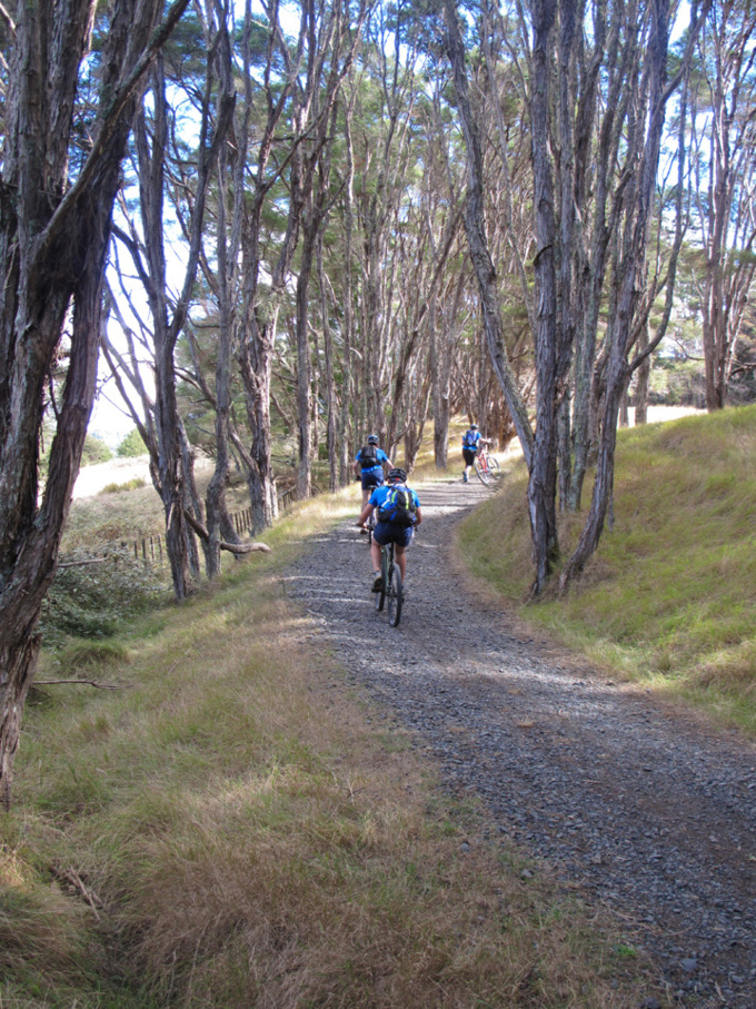 Ten top things to do in south Auckland this spring (9)