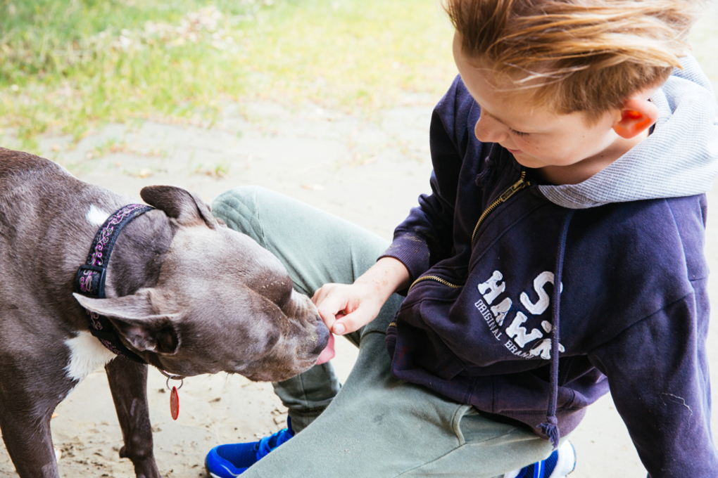 Dog and boy