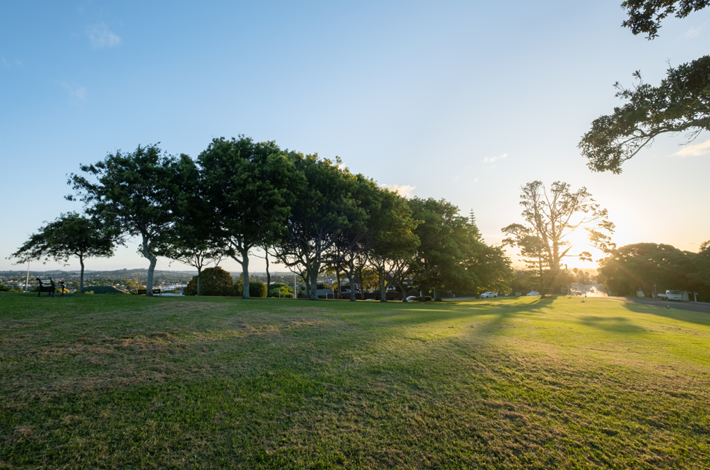 Trees Image1