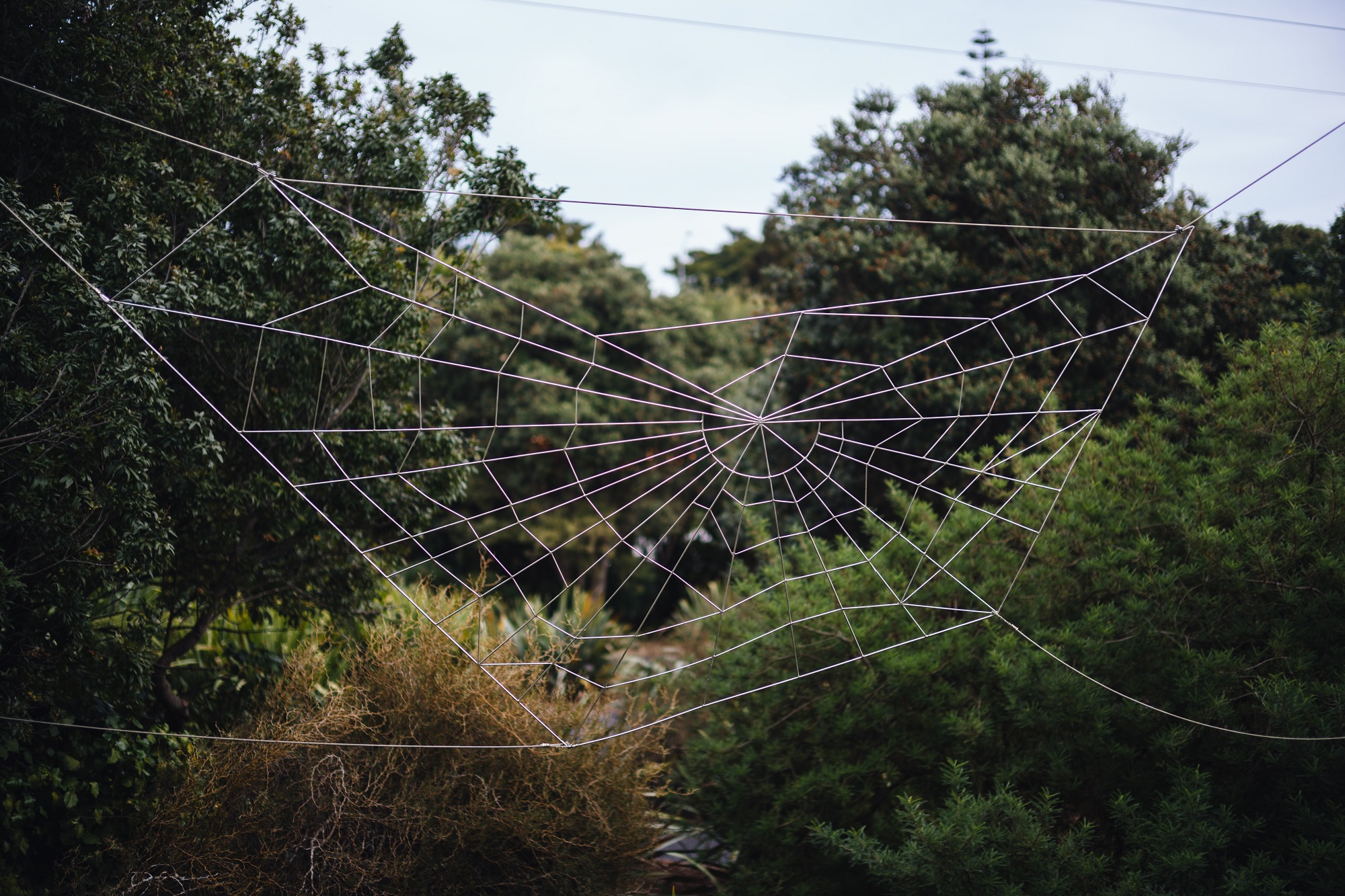 Fred Graham's The Web artwork.