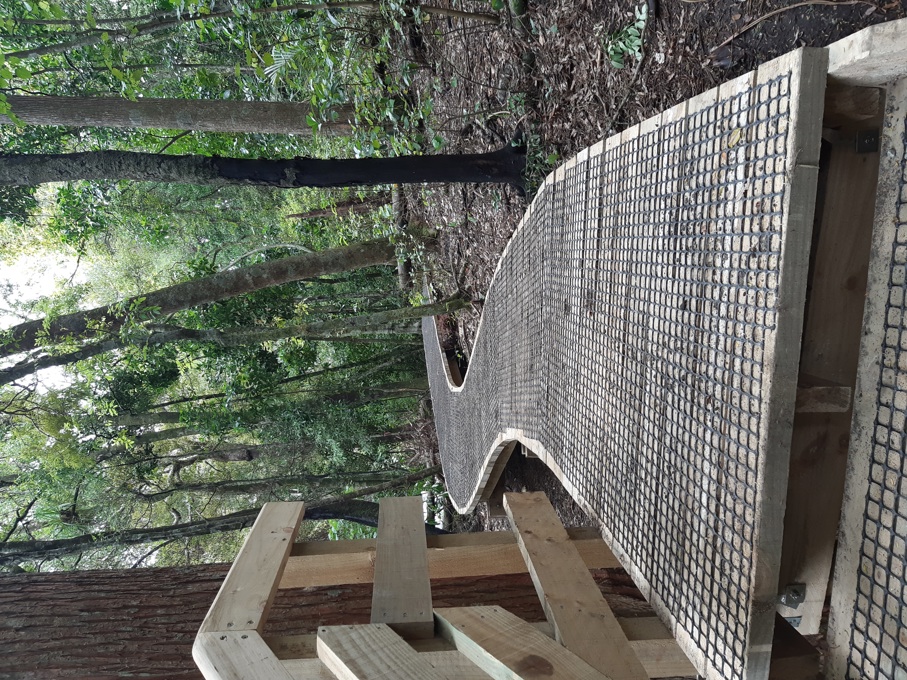 Kauri dieback local parks 2