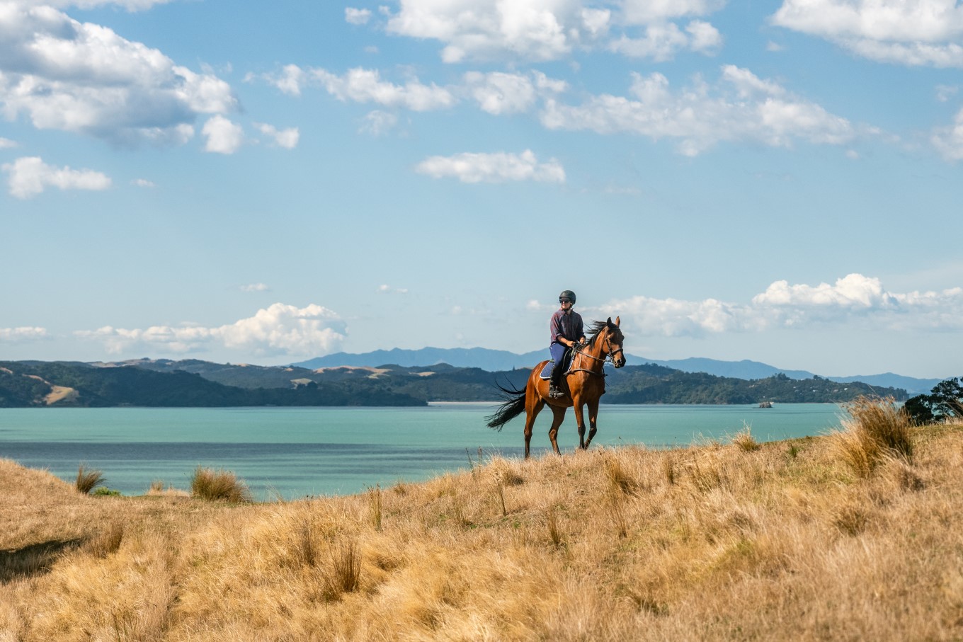 Horse rider on the mountain. 