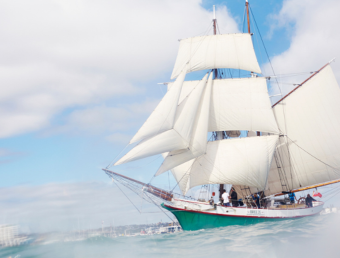 Our Auckland - Breeze sailing_hqvlgz0f.png