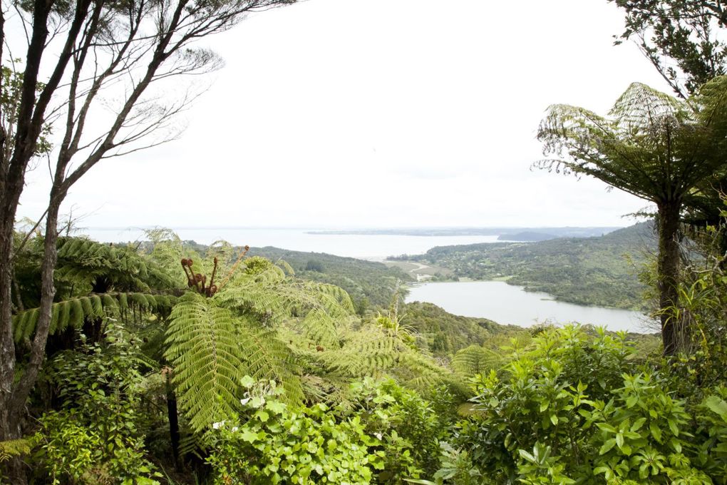 Waitākere Ranges