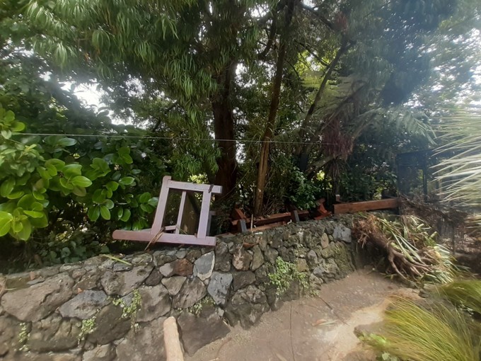 Zoo Benches On The Back Wall