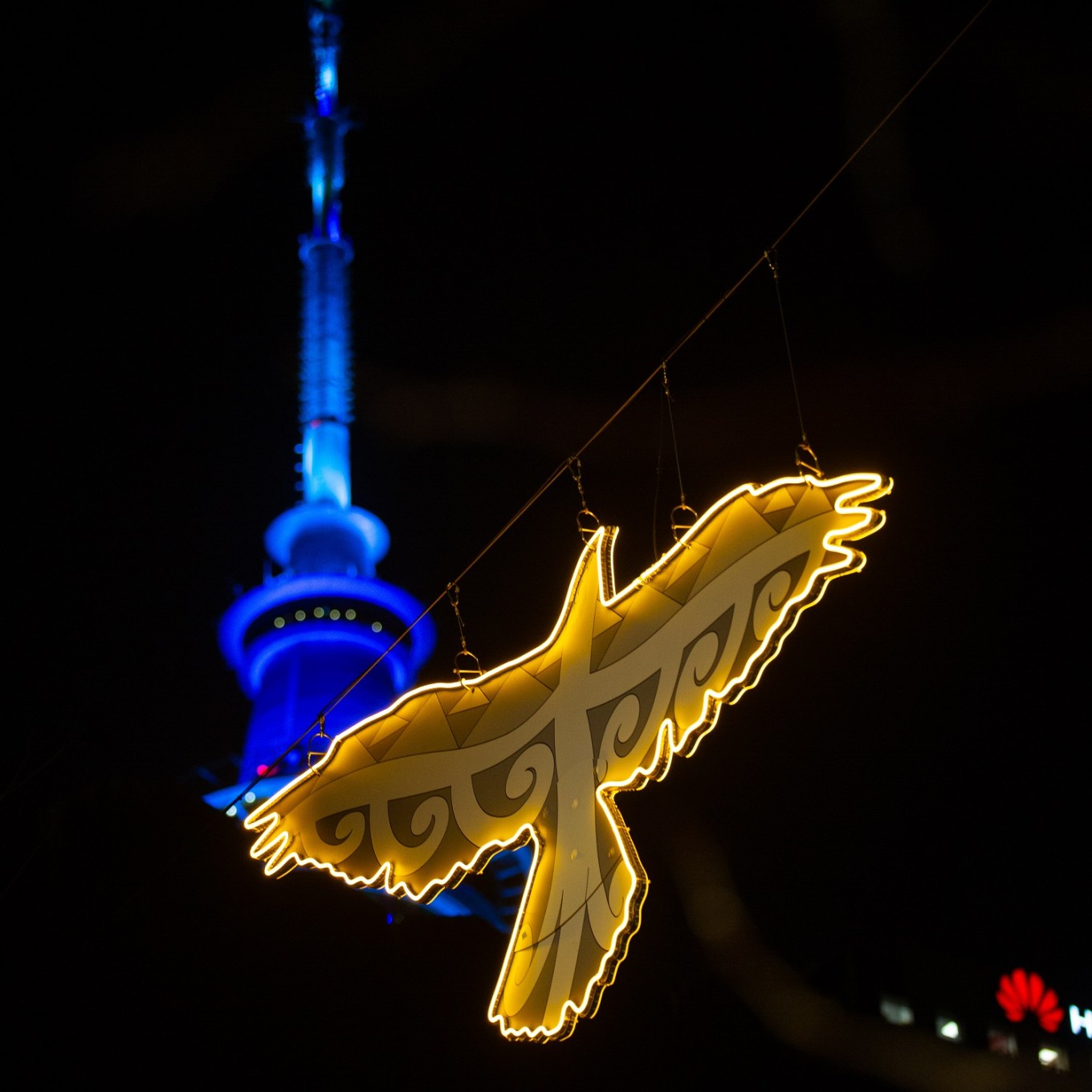 Turama Kahu with Sky Tower in background.