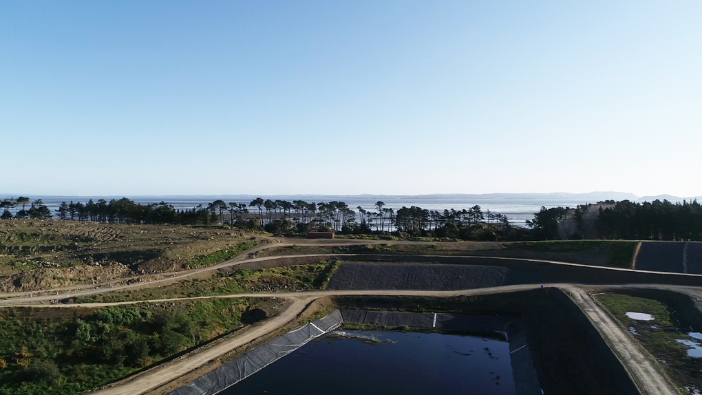 Our past to the future - rehabilitating Puketutu Island