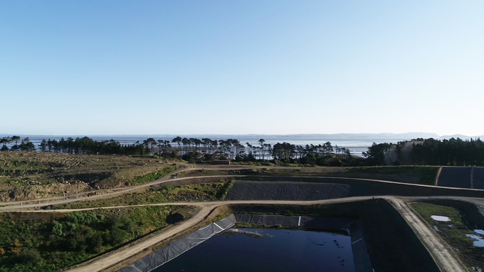 Our past to the future - rehabilitating Puketutu Island