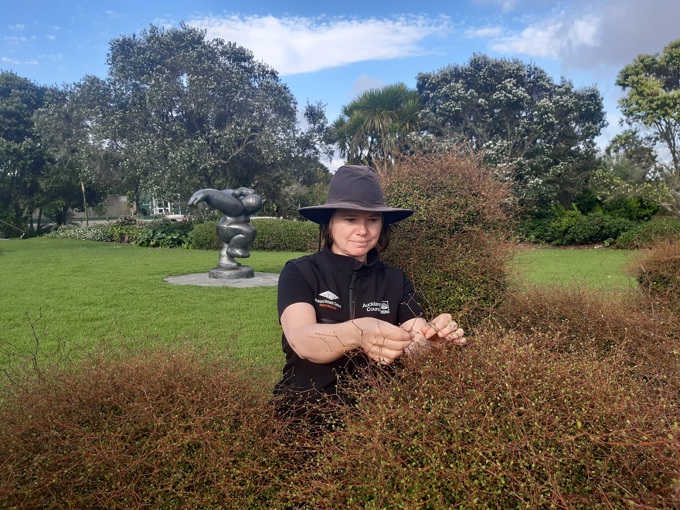 10 Years Together - environment