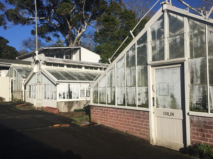 Wintergarden nursery (1)
