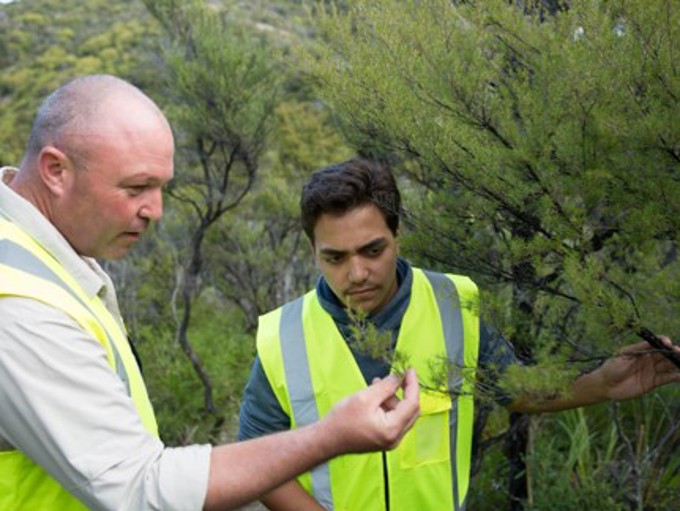 YELF 2016 Teaching Plants