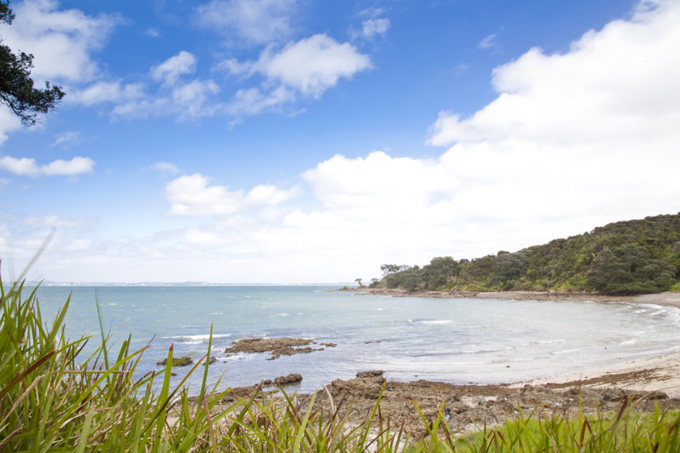 Spotlight on Waiheke 3