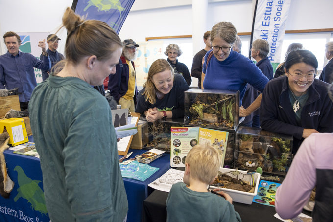 38-468797 (1)_i42ylwkt.jpg