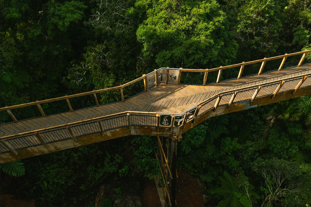 Wooden Boardwalks