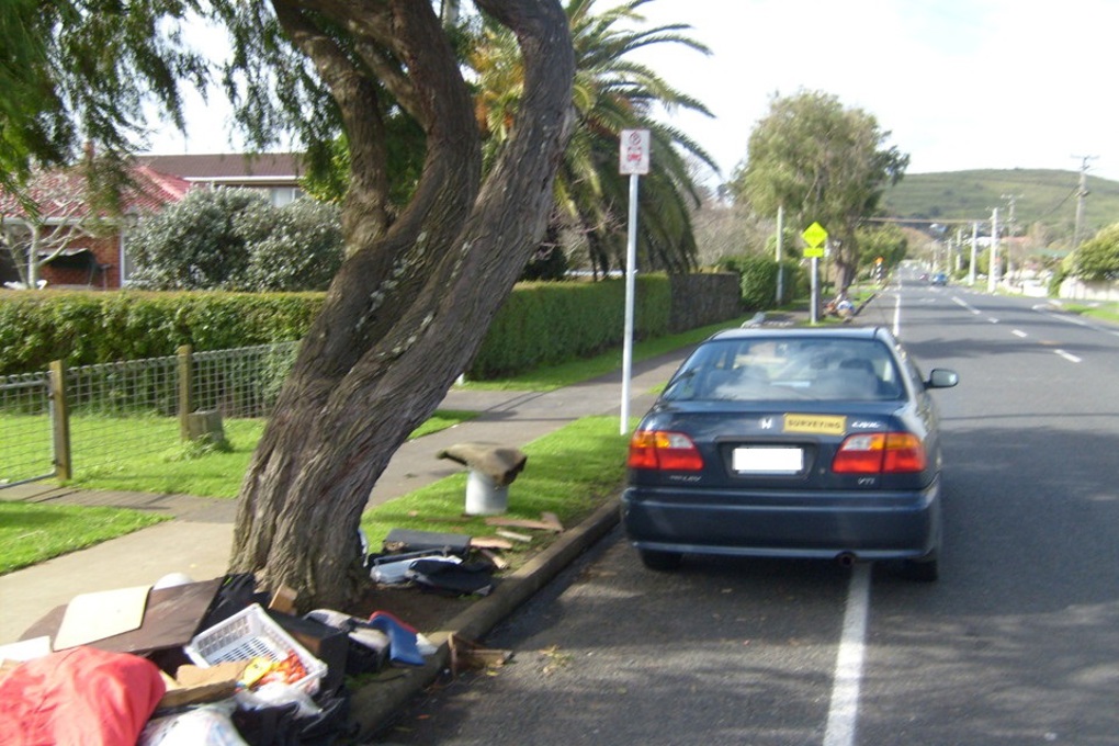 Keeping Maungakiekie-Tamaki beautiful