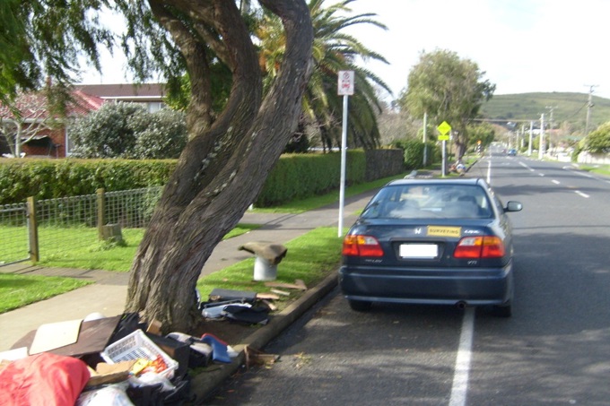 Keeping Maungakiekie-Tamaki beautiful