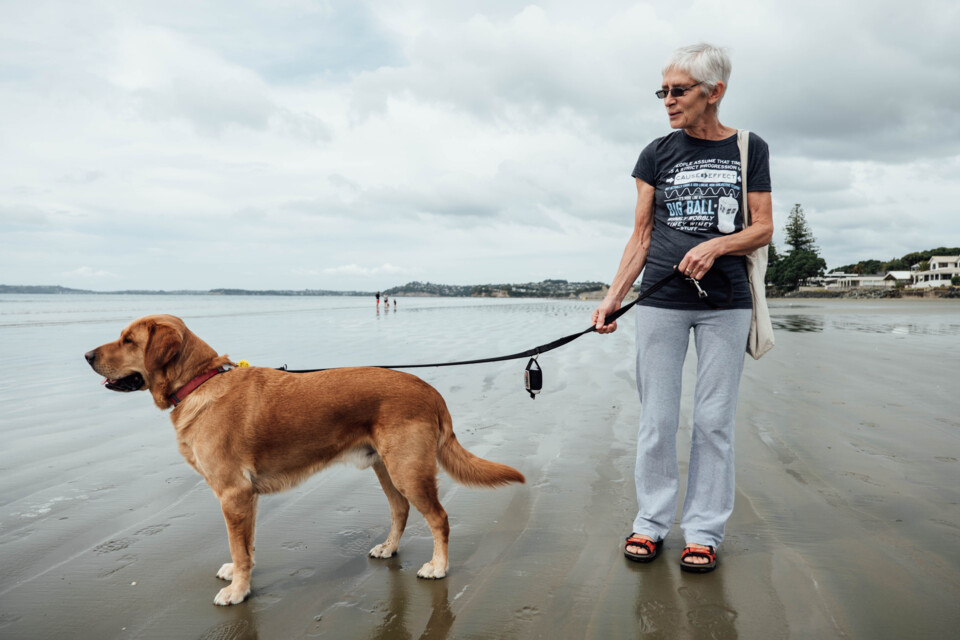 Dog walking on beach