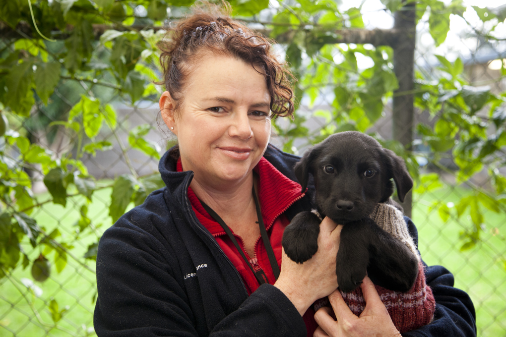Ferraris and fur-babies warm hearts this Valentine’s Day (2)