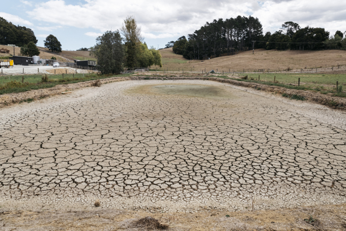 Council makes it easier for Aucklanders to collect rainwater