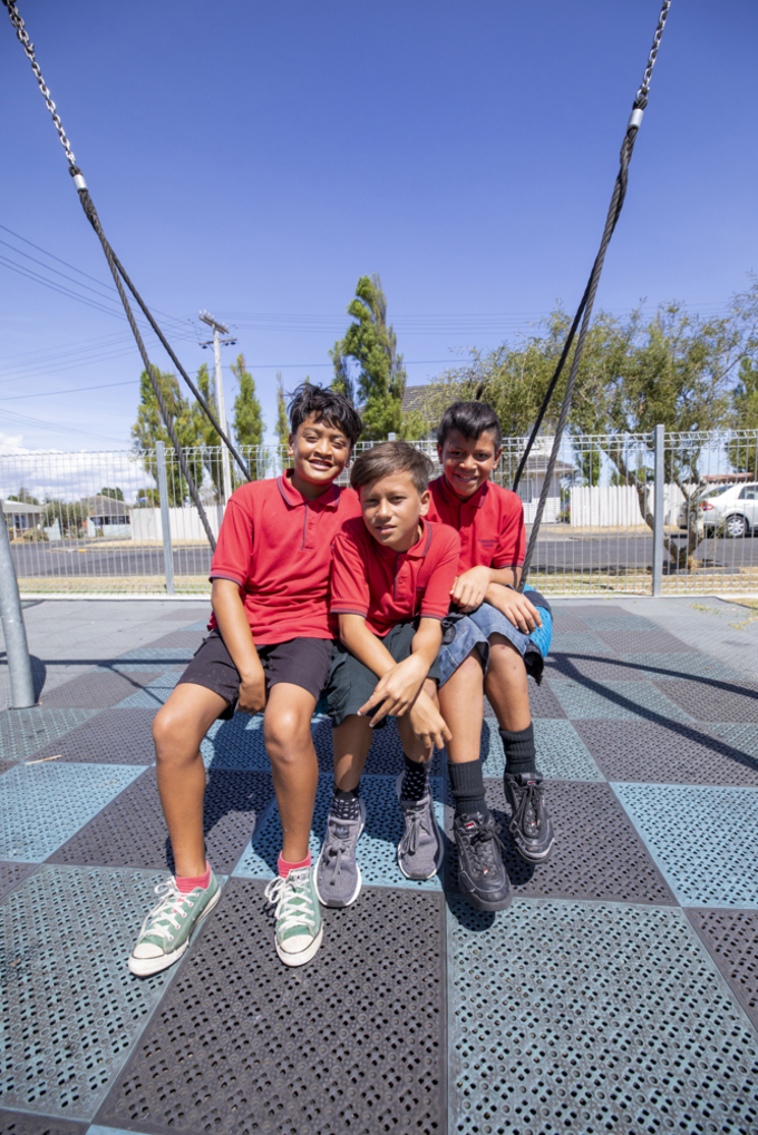 Maungakiekie-Tamaki's shared vision