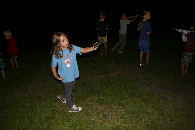 Become a bat-spotter