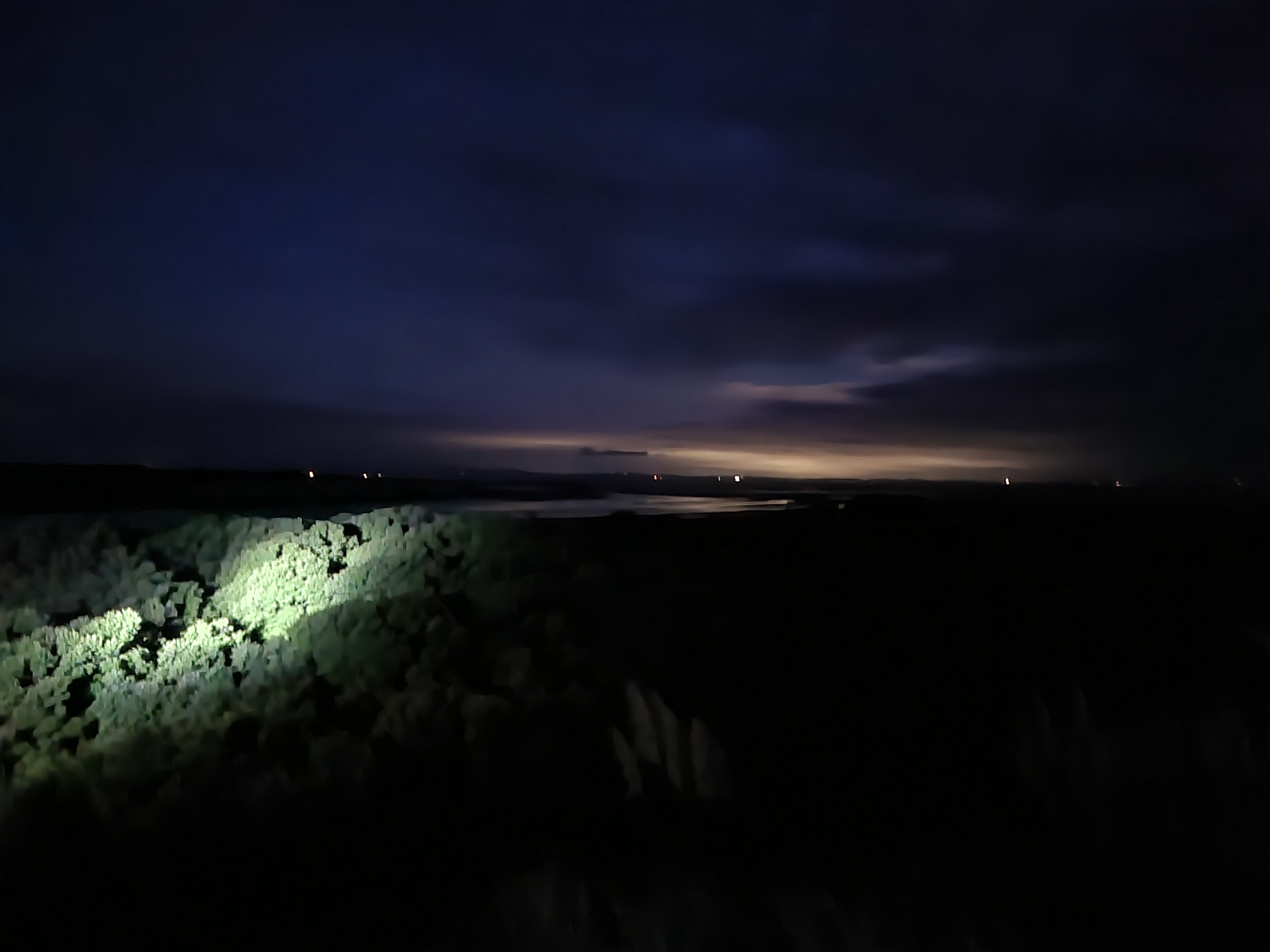 Evening search of the dune