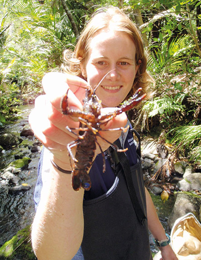 Monitoring Aucklands fresh water