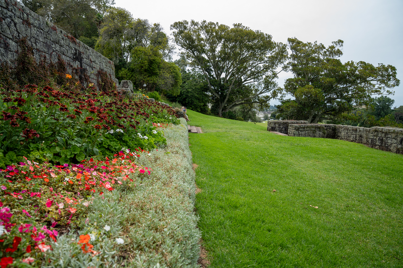 Flowers by a stone wall. 