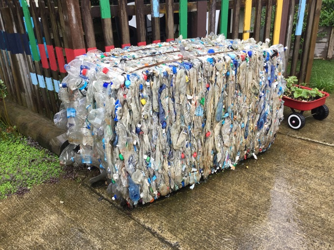 Meet waste champion Anna Gehrke 05