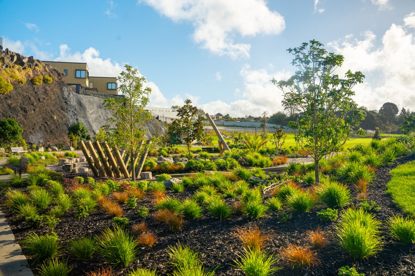 New greenspace called Taurangi. 