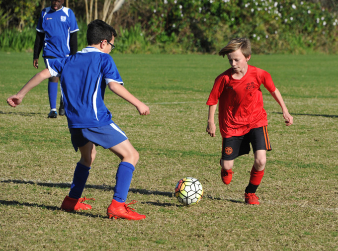 Grants boost Hibiscus and Bays projects