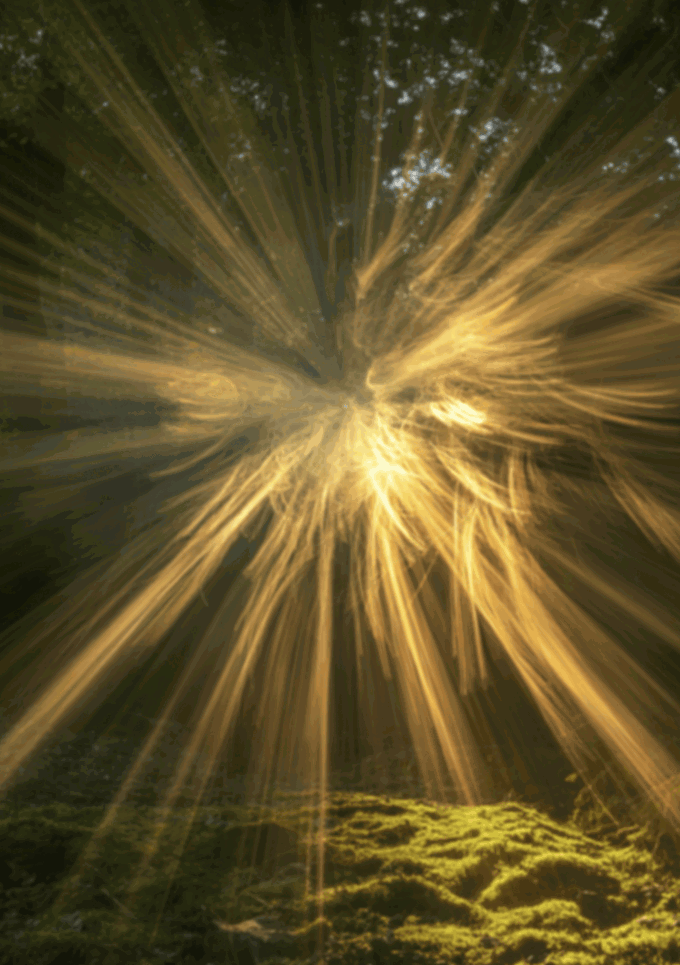 Library Poster Template (16)_dl0cbrij.png