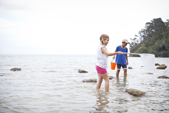 Forum symposium to improve Manukau Harbour health (1)