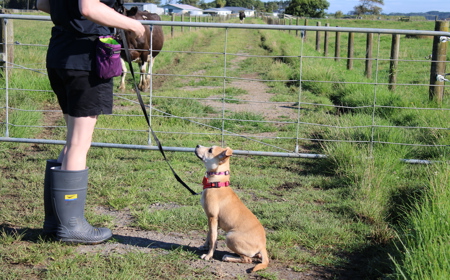 Thai (ADOPTED) tile image