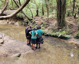 Aorere College Year 9 students experience a real-life application of science while learning about sustainability by taking action