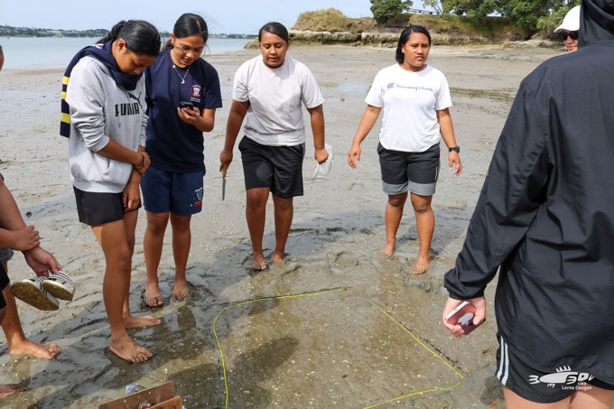 Marine education leads in Tamaki (3)