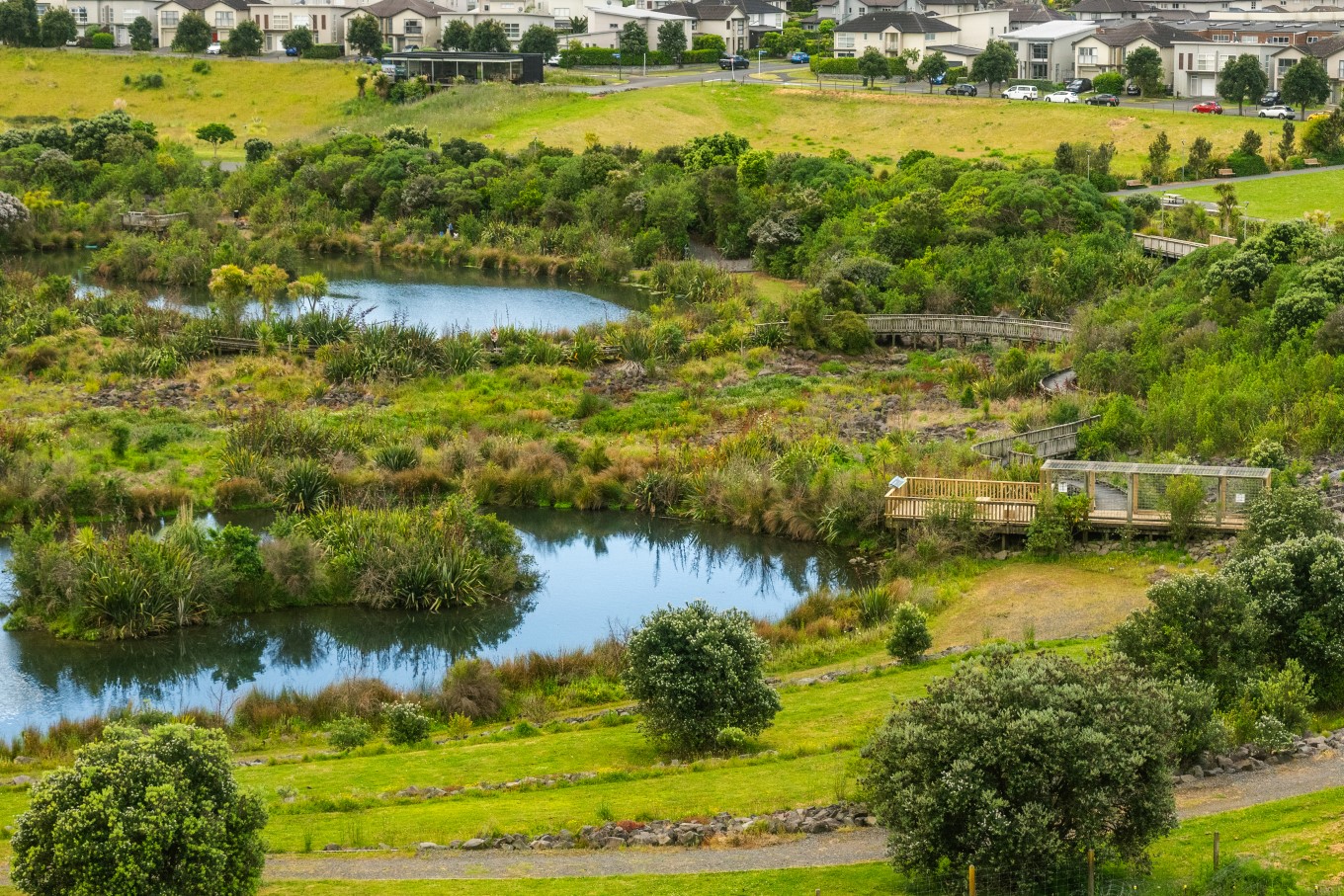 Maungarei Springs Wetland.