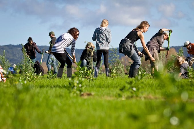 Tree Planting image_ub5rpjcr.jpg