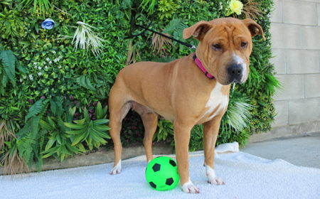 Maggie tile image
