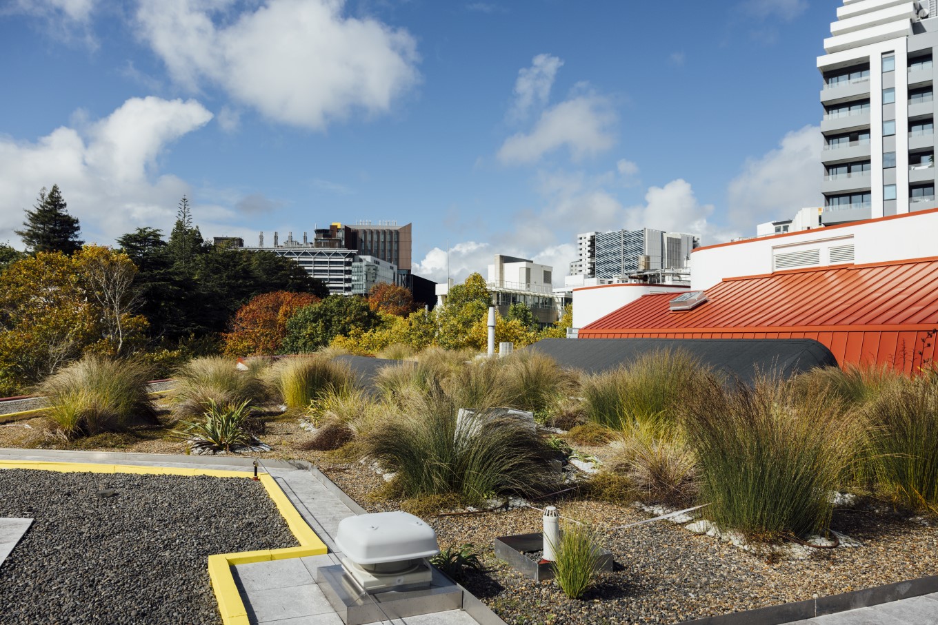 Plants on library roof by exhaust pipe.